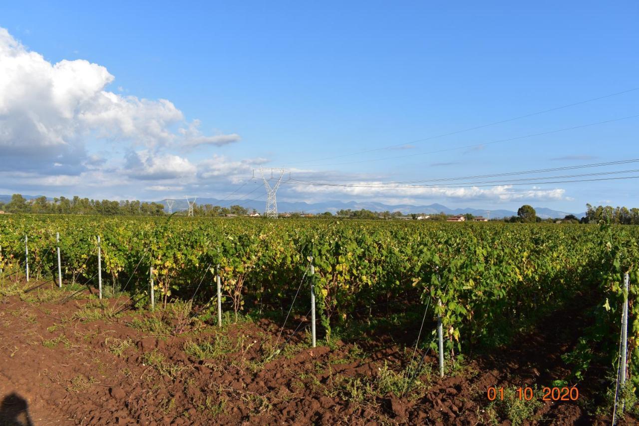 Agriturismo L'Ovile Borgo San Michele  Kültér fotó